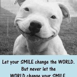 Meet your Posher, Jacqui